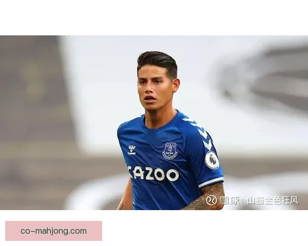 埃弗顿因财务违规再次接受英超委员会质询或面临严峻后果 埃弗顿因财务违规再次接受英超委员会质询或面临严峻后果